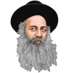 שולי רנד