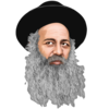 שולי רנד