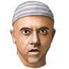 ארז לב ארי