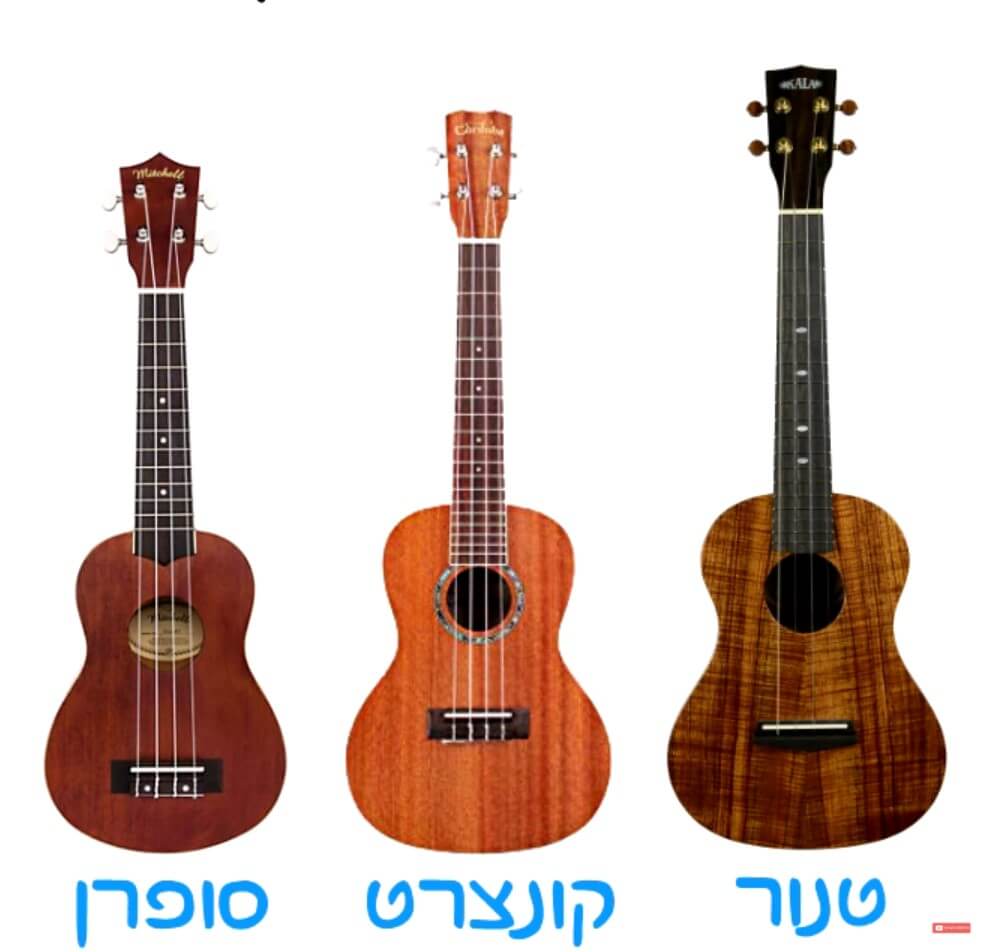 שלושת סוגי היוקלילי